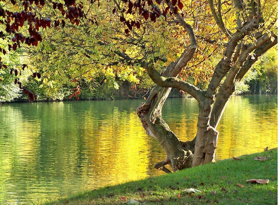 Paris - Bords De Marne *